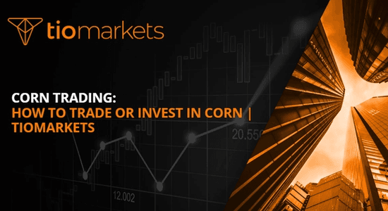 corn-trading-guide