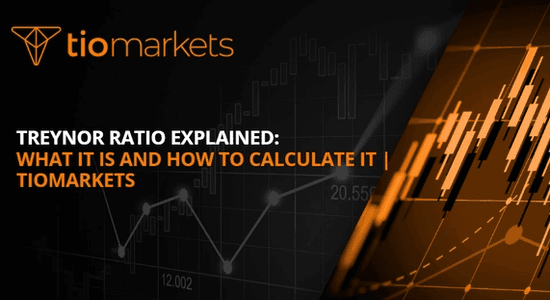 treynor-ratio-guide