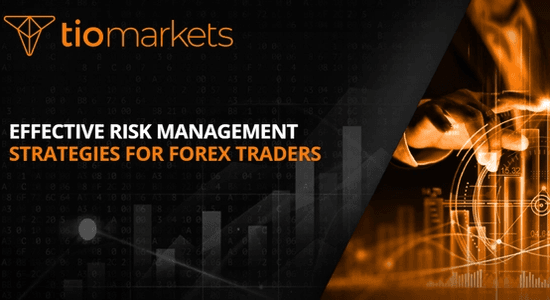 forex-traders